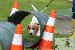 Welpen  23.08.2025 51